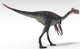 Gigantoraptor Dinosaur White Wall Decal Design 7