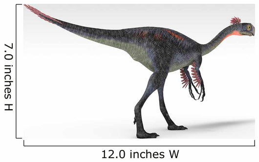 Gigantoraptor Dinosaur White Wall Decal Design 7