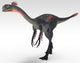 Gigantoraptor Dinosaur White Wall Decal Design 6