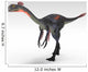 Gigantoraptor Dinosaur White Wall Decal Design 6