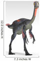 Gigantoraptor Dinosaur White Wall Decal Design 5