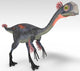Gigantoraptor Dinosaur White Wall Decal Design 3