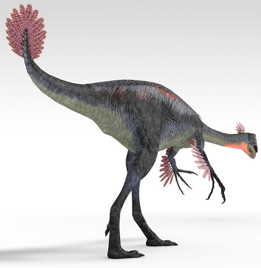 Gigantoraptor Dinosaur White Wall Decal Design 2