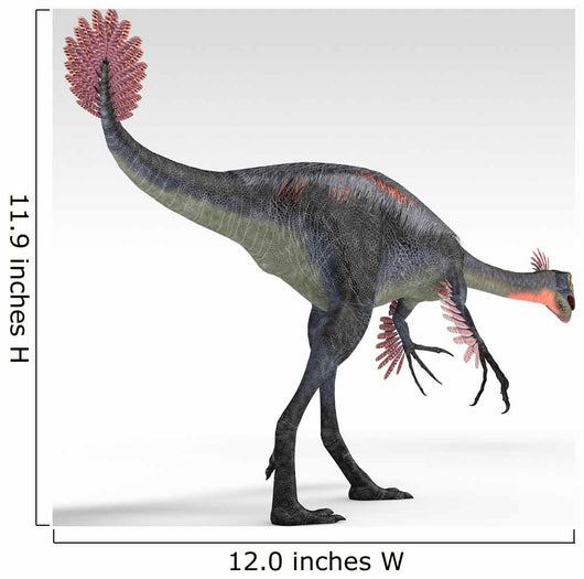 Gigantoraptor Dinosaur White Wall Decal Design 2