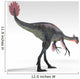 Gigantoraptor Dinosaur White Wall Decal Design 2