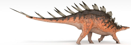 Kentrosaurus Dinosaur White Wall Decal Design 3