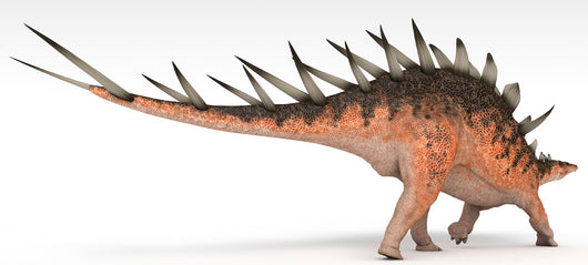 Kentrosaurus Dinosaur White Wall Decal Design 2