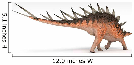 Kentrosaurus Dinosaur White Wall Decal Design 2