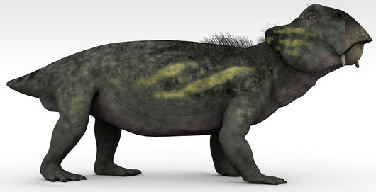 Lystrosaurus Therapsid from Permian Wall Decal Design 1