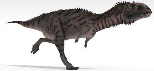 Majungasaurus Dinosaur White Wall Decal Design 5