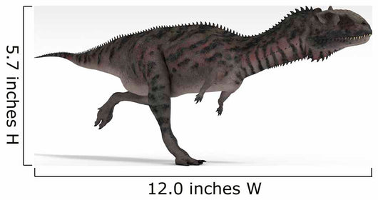 Majungasaurus Dinosaur White Wall Decal Design 5