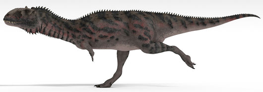 Majungasaurus Dinosaur White Wall Decal Design 4