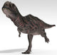Majungasaurus Dinosaur White Wall Decal Design 3