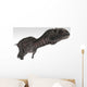 Majungasaurus Dinosaur White Wall Decal Design 2