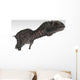 Majungasaurus Dinosaur White Wall Decal Design 2