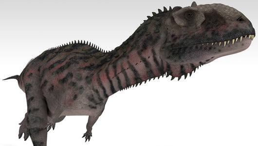 Majungasaurus Dinosaur White Wall Decal Design 2