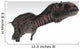 Majungasaurus Dinosaur White Wall Decal Design 2