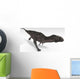 Majungasaurus Dinosaur White Wall Decal Design 1