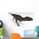 Majungasaurus Dinosaur White Wall Decal Design 1