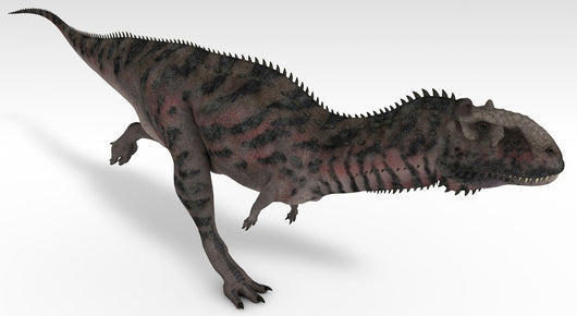Majungasaurus Dinosaur White Wall Decal Design 1
