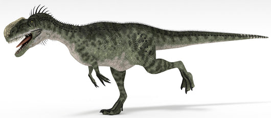 Monolophosaurus Dinosaur White Wall Decal Design 4