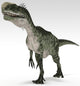Monolophosaurus Dinosaur White Wall Decal Design 1