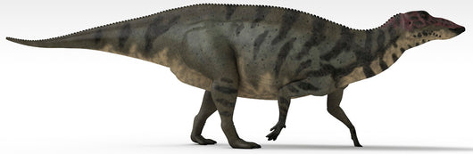 Shuangmiaosaurus Dinosaur White Wall Decal Design 3