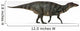 Shuangmiaosaurus Dinosaur White Wall Decal Design 3
