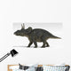 Triceratops Dinosaur White Wall Decal Design 1