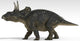 Triceratops Dinosaur White Wall Decal Design 1