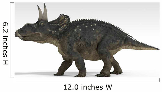 Triceratops Dinosaur White Wall Decal Design 1