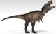 Tyrannosaurus Rex White Wall Decal Design 5