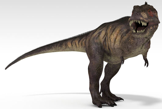 Tyrannosaurus Rex White Wall Decal Design 4