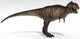 Tyrannosaurus Rex White Wall Decal Design 1
