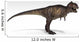 Tyrannosaurus Rex White Wall Decal Design 1