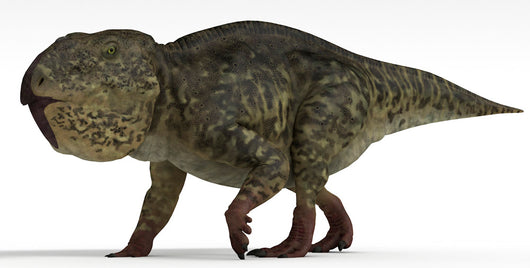 Udanoceratops Dinosaur White Wall Decal Design 2