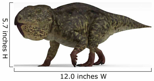 Udanoceratops Dinosaur White Wall Decal Design 2