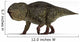 Udanoceratops Dinosaur White Wall Decal Design 2