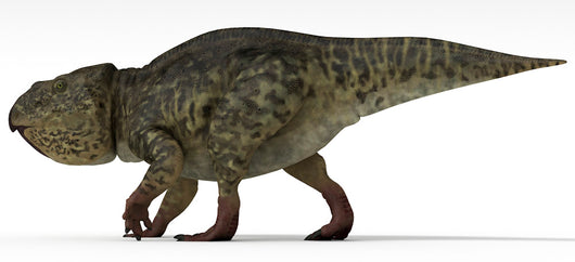 Udanoceratops Dinosaur White Wall Decal Design 1