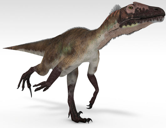 Utahraptor Dinosaur White Wall Decal Design 4