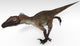 Utahraptor Dinosaur White Wall Decal Design 2