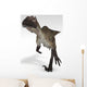 Utahraptor Dinosaur White Wall Decal Design 1