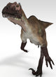 Utahraptor Dinosaur White Wall Decal Design 1