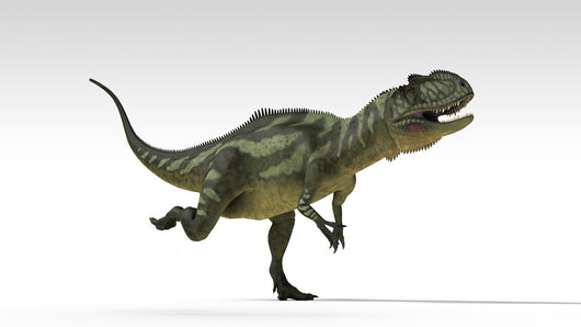 Yangchuanosaurus Dinosaur White Wall Decal Design 3