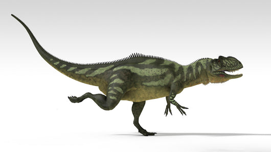 Yangchuanosaurus Dinosaur White Wall Decal Design 2