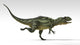 Yangchuanosaurus Dinosaur White Wall Decal Design 2