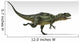 Yangchuanosaurus Dinosaur White Wall Decal Design 2