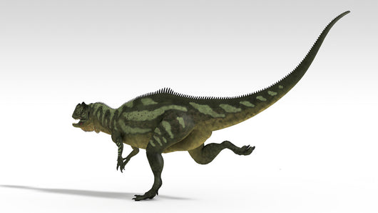 Yangchuanosaurus Dinosaur White Wall Decal Design 1