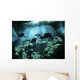 Diver Enters Cavern System Wall Decal