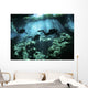 Diver Enters Cavern System Wall Decal